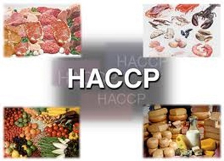دانلود کتاب استاندارد صنایع غذایی haccp - سسیستم های ( HACCP ) در صنایع غذایی - دانلود رایگان pdf اصول پایه‌ای استاندارد HACCP - دانلود رایگان pdf کتاب اصول HAccp - دانلود رایگان pdf استاندارد haccp(هسپ)